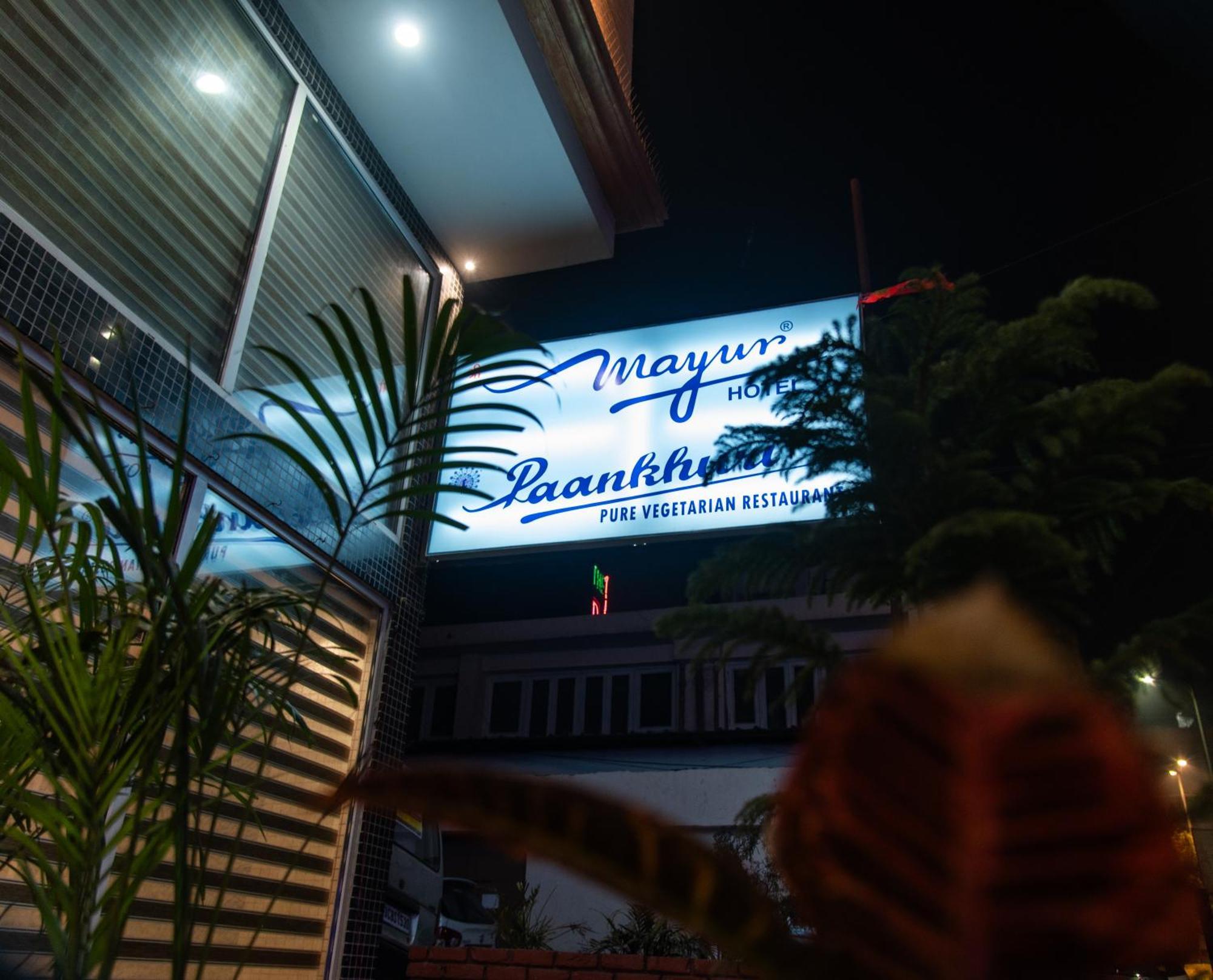 Mayur Hotel New Delhi Bagian luar foto